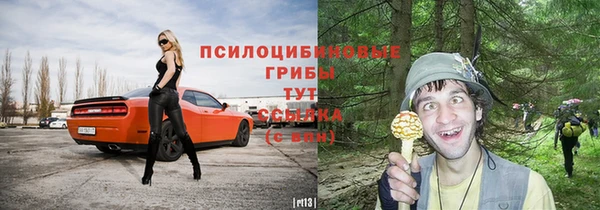 ALPHA-PVP Вяземский