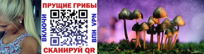 Галлюциногенные грибы GOLDEN TEACHER  Муром 